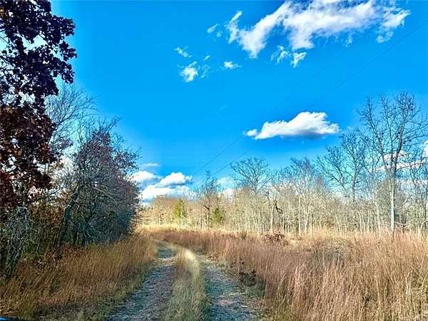 81.6 Acres of Recreational Land for Sale in Vian, Oklahoma