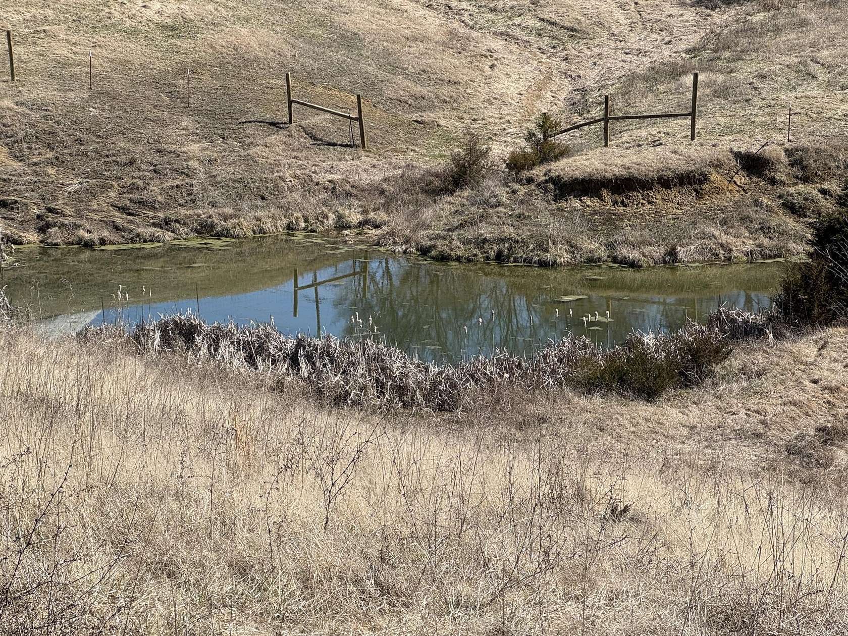 30.8 Acres of Agricultural Land for Sale in Bulls Gap, Tennessee