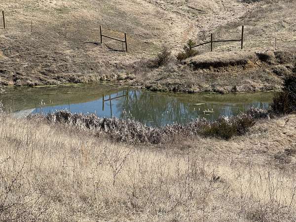 30.8 Acres of Agricultural Land for Sale in Bulls Gap, Tennessee