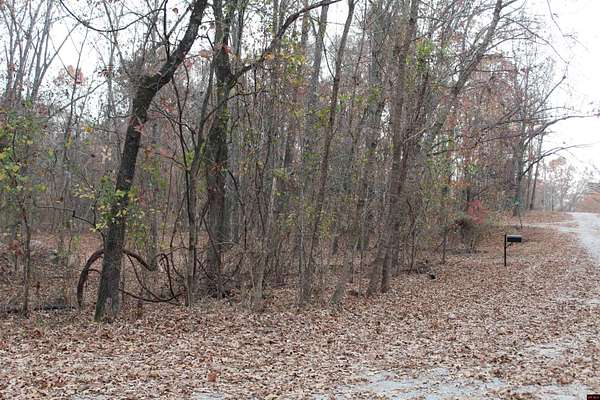 0.84 Acres of Residential Land for Sale in Mountain Home, Arkansas