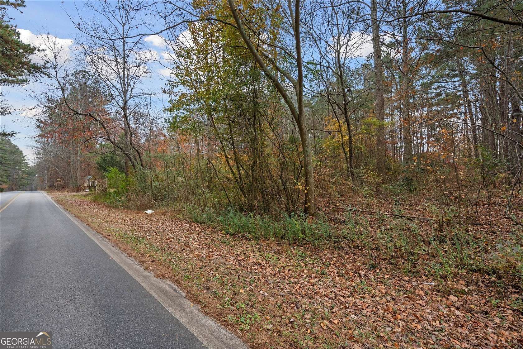 1 Acre of Land for Sale in Waco, Georgia