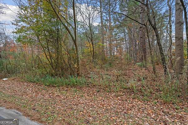 1 Acre of Land for Sale in Waco, Georgia