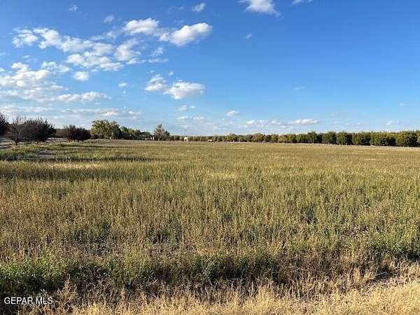 12.4 Acres of Agricultural Land for Sale in Fabens, Texas
