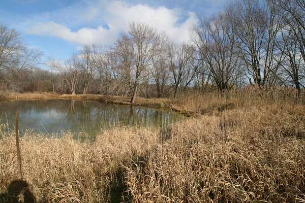 3 Acres of Land for Sale in Holland, Michigan