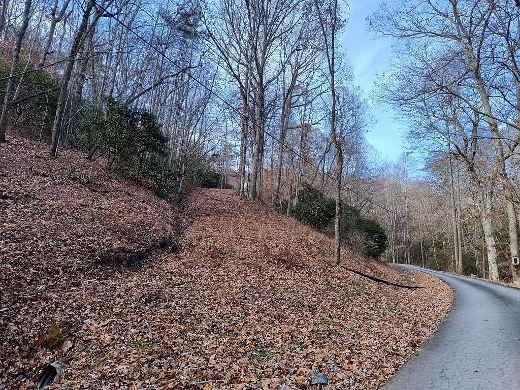 1 Acre of Land for Sale in Ellijay, Georgia