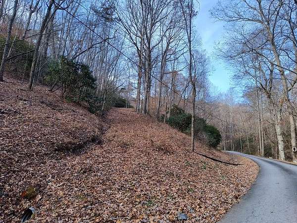1 Acre of Land for Sale in Ellijay, Georgia