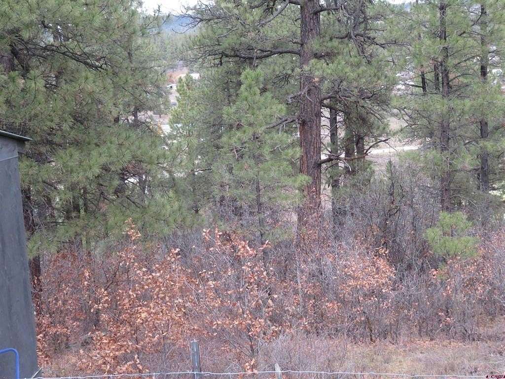1.5 Acres of Residential Land for Sale in Pagosa Springs, Colorado