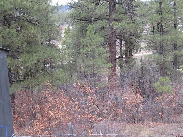 1.5 Acres of Residential Land for Sale in Pagosa Springs, Colorado