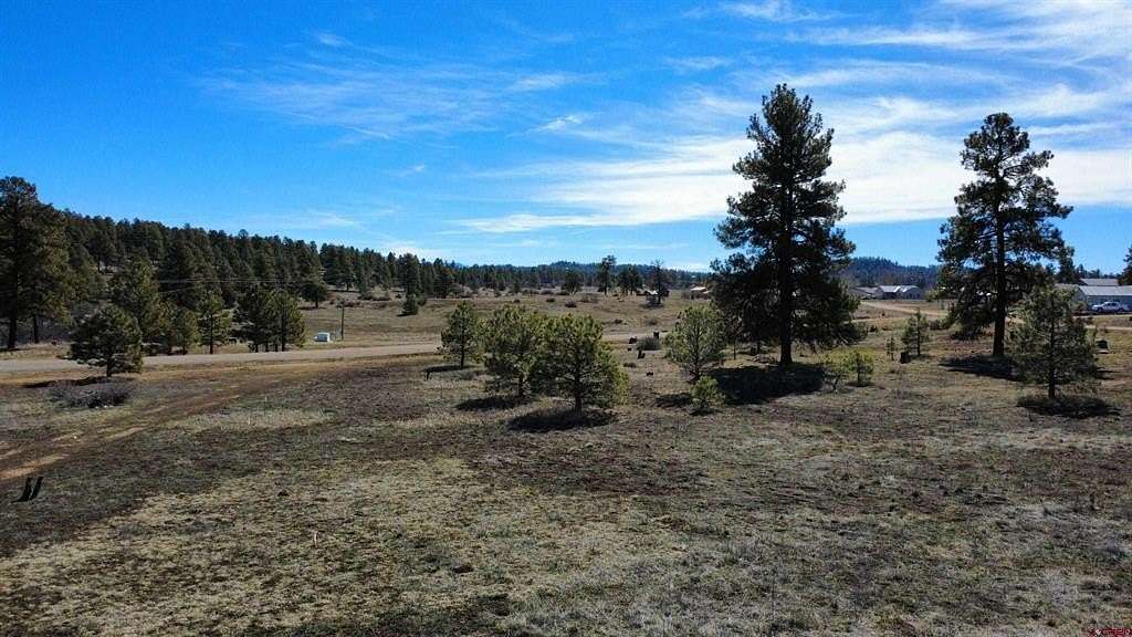 0.14 Acres of Residential Land for Sale in Pagosa Springs, Colorado