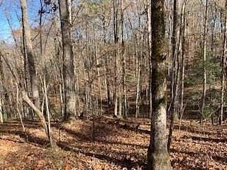 0.63 Acres of Residential Land for Sale in Ellijay, Georgia