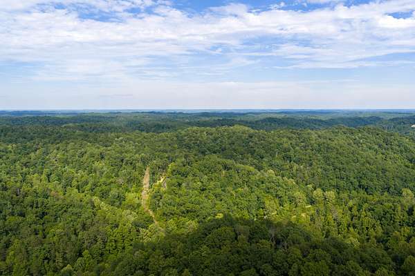 159 Acres of Recreational Land for Sale in Olive Hill, Kentucky