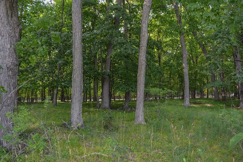 1 Acre of Residential Land for Sale in Egg Harbor, Wisconsin