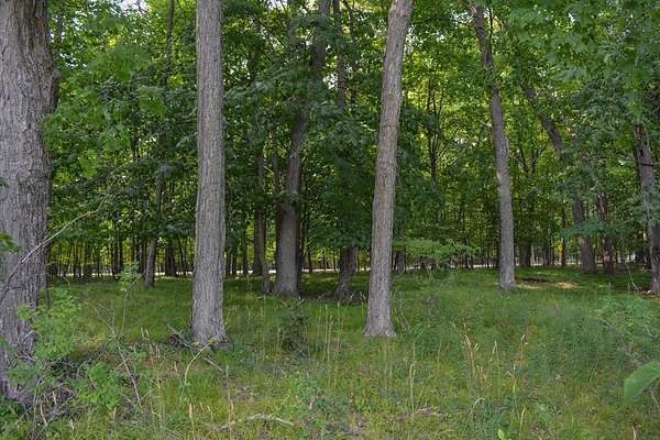 1 Acre of Residential Land for Sale in Egg Harbor, Wisconsin