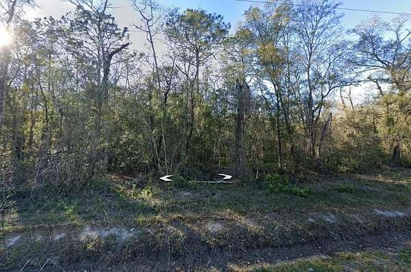1.14 Acres of Residential Land for Sale in Hastings, Florida
