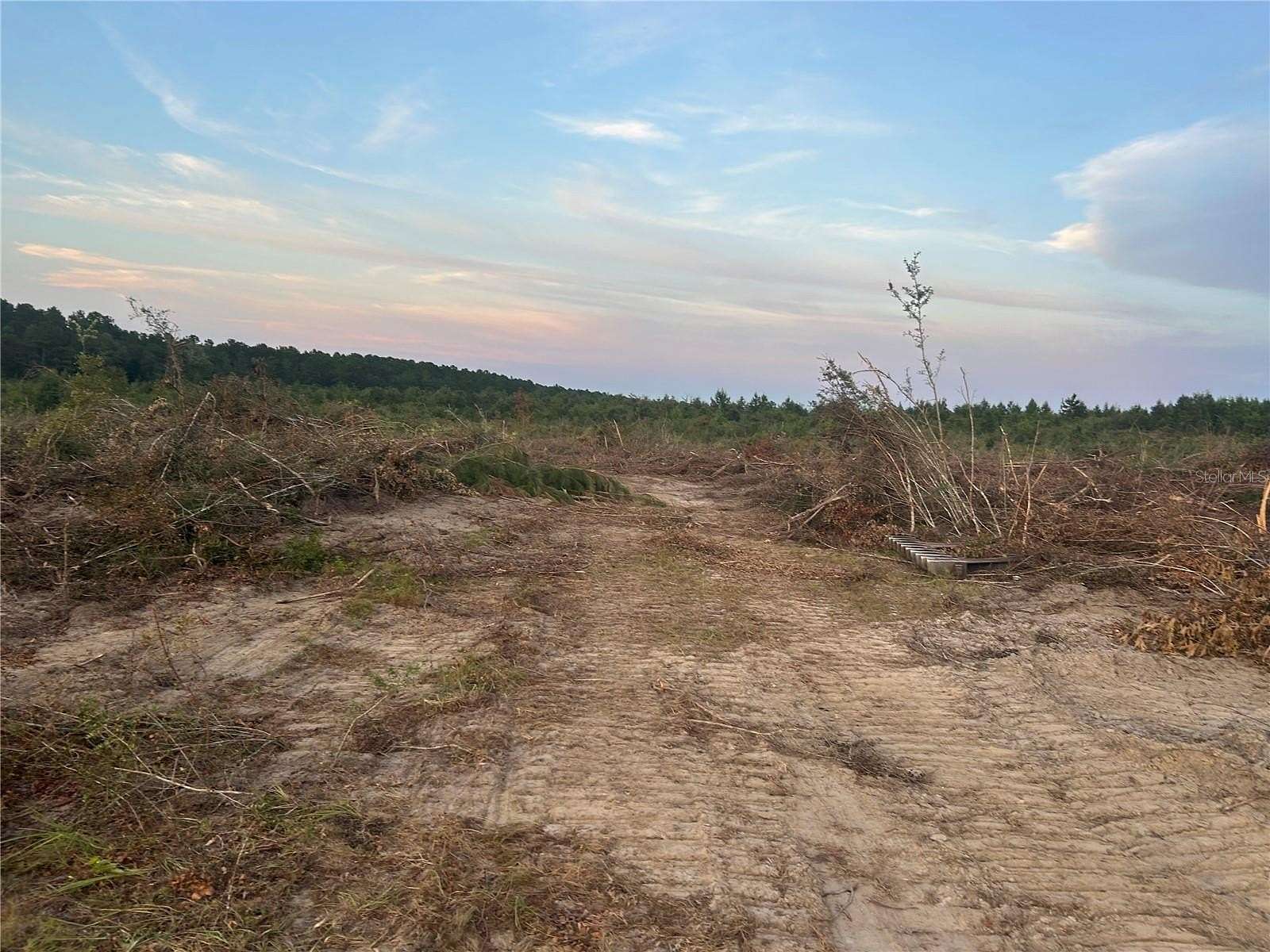 160 Acres of Mixed-Use Land for Sale in Westville, Florida