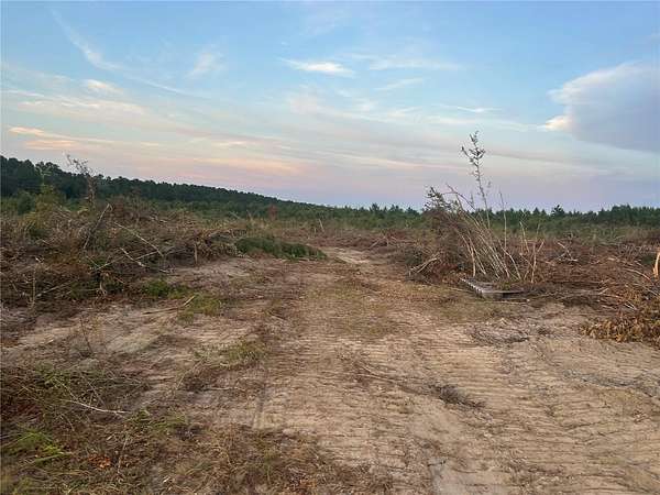 160 Acres of Mixed-Use Land for Sale in Westville, Florida