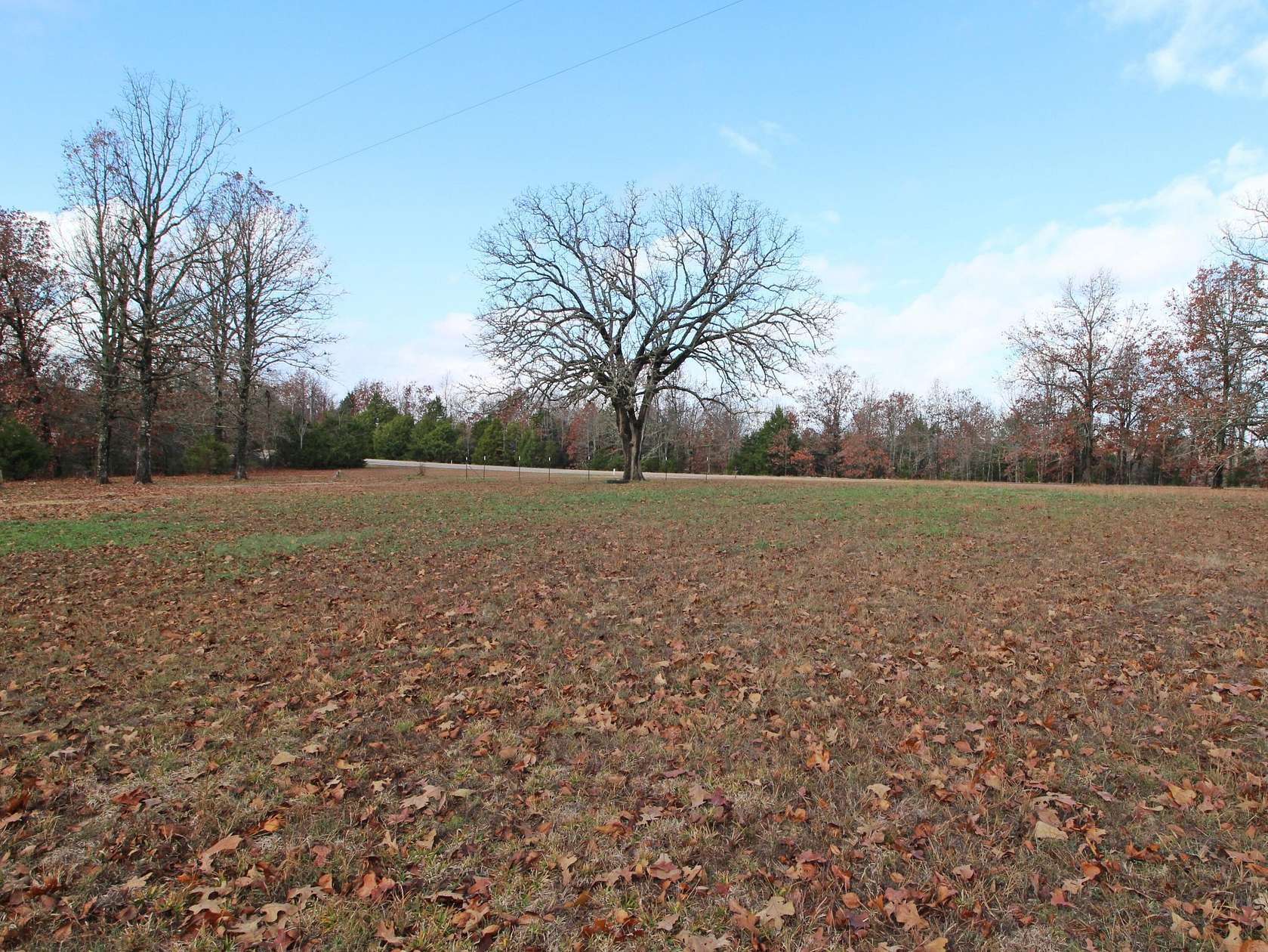 11.4 Acres of Land for Sale in Myrtle, Missouri