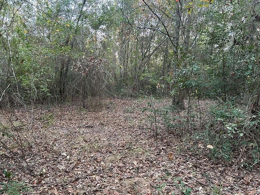 1 Acre of Residential Land for Sale in Donalsonville, Georgia