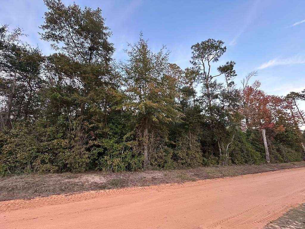 0.81 Acres of Residential Land for Sale in Donalsonville, Georgia