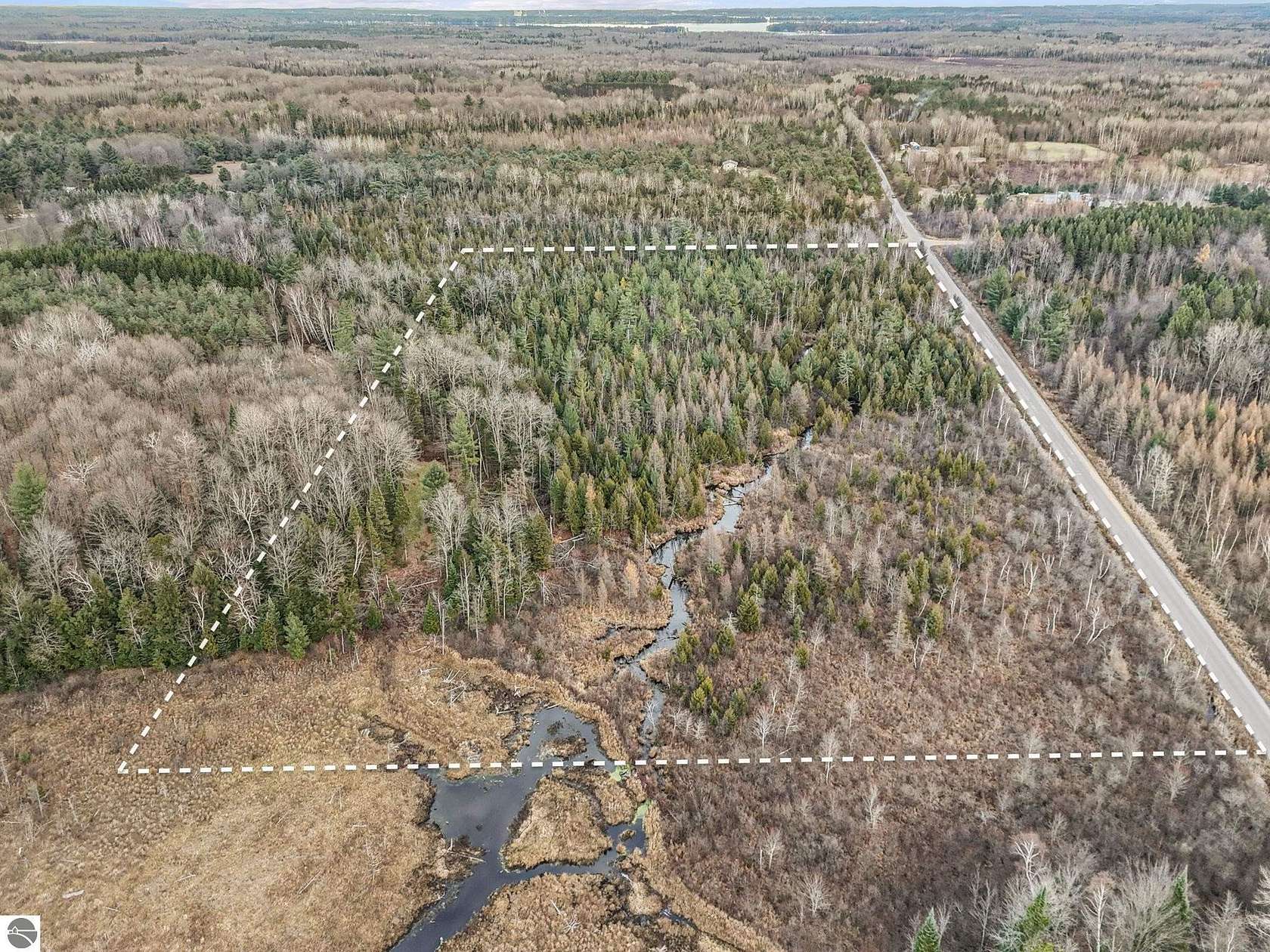 20 Acres of Recreational Land for Sale in Cadillac, Michigan