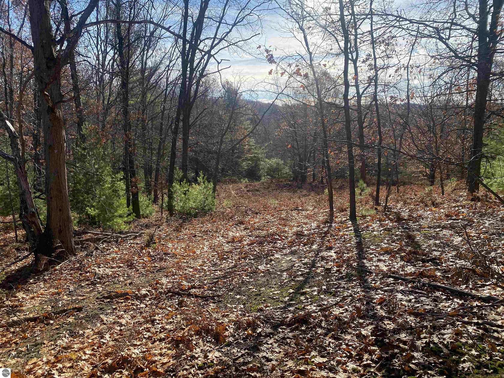 44 Acres of Recreational Land for Sale in Traverse City, Michigan