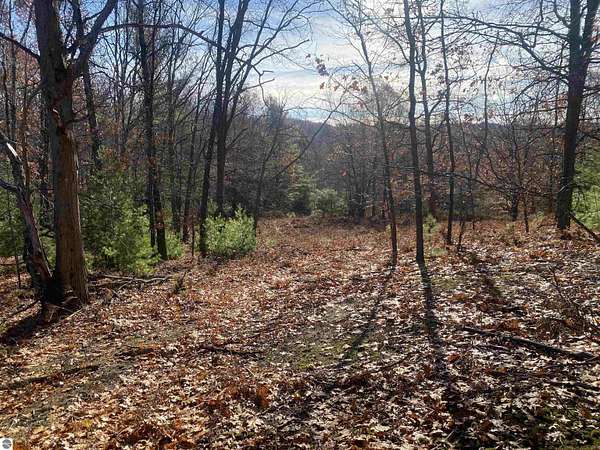 44 Acres of Recreational Land for Sale in Traverse City, Michigan