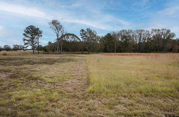 3 Acres of Residential Land for Sale in Frankston, Texas