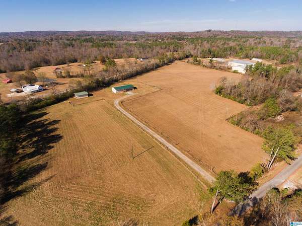 9 Acres of Land with Home for Sale in Wellington, Alabama