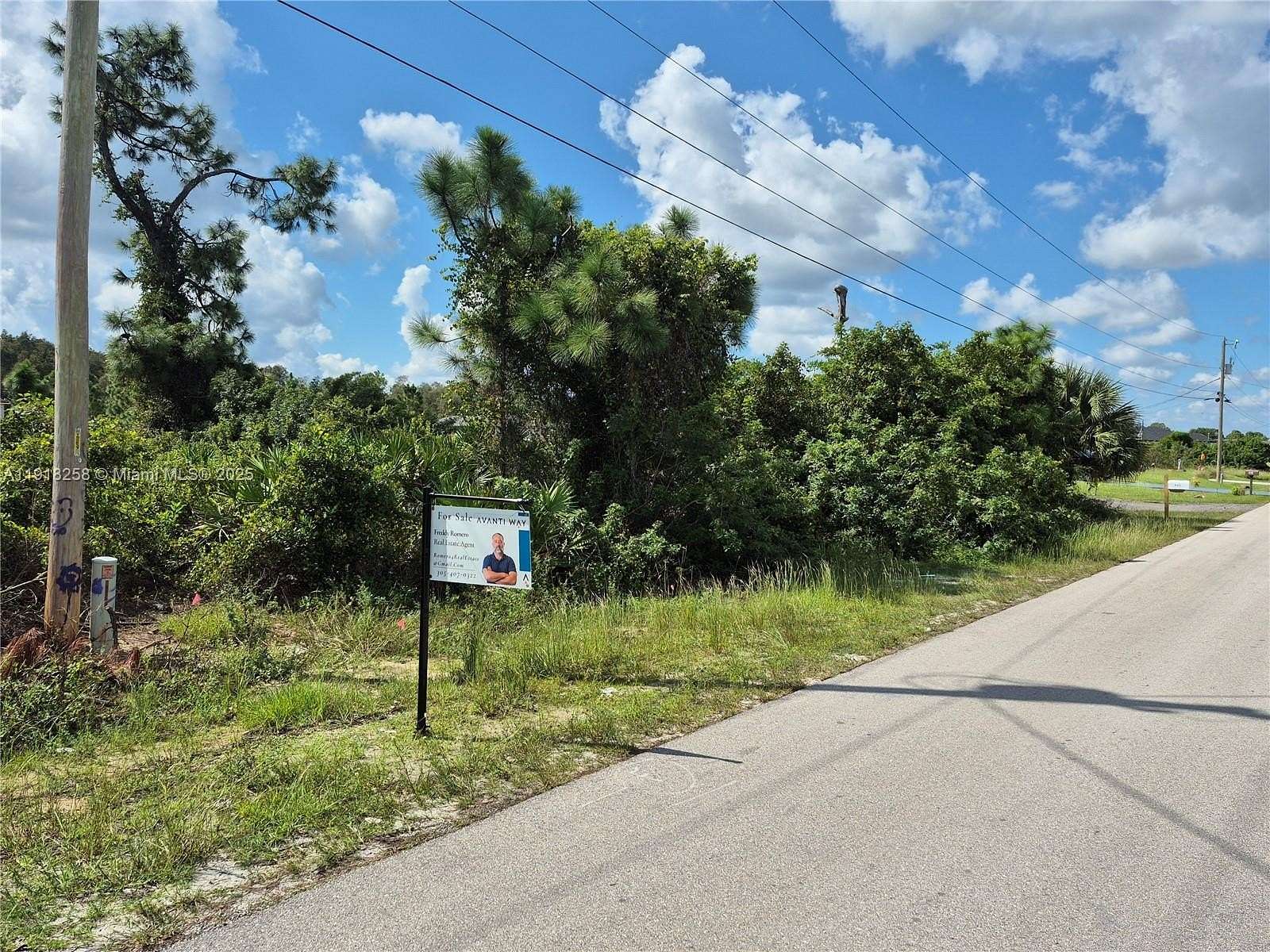 0.24 Acres of Residential Land for Sale in Lehigh Acres, Florida
