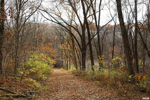 56 Acres of Recreational Land & Farm for Sale in Trivoli, Illinois