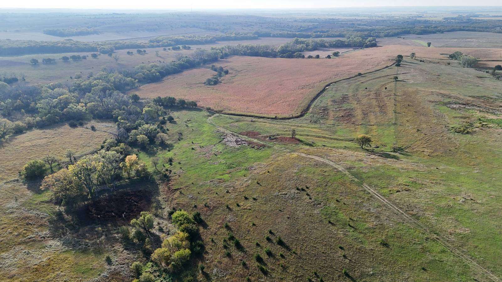 282 Acres of Land for Sale in Glasco, Kansas