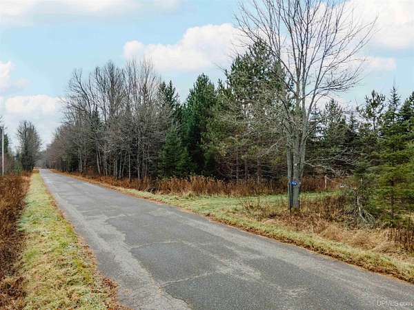 40 Acres of Recreational & Residential Land for Sale in Iron River, Michigan