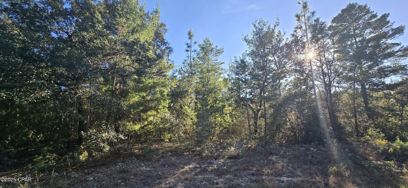 0.23 Acres of Residential Land for Sale in Chipley, Florida