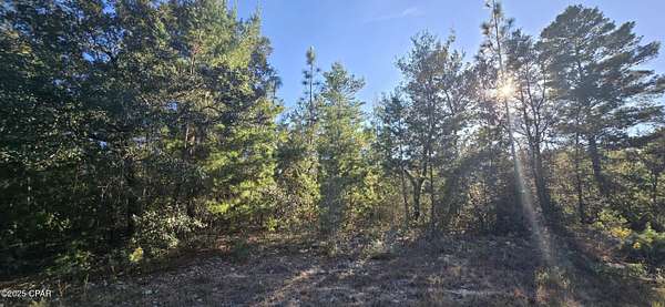 0.23 Acres of Residential Land for Sale in Chipley, Florida