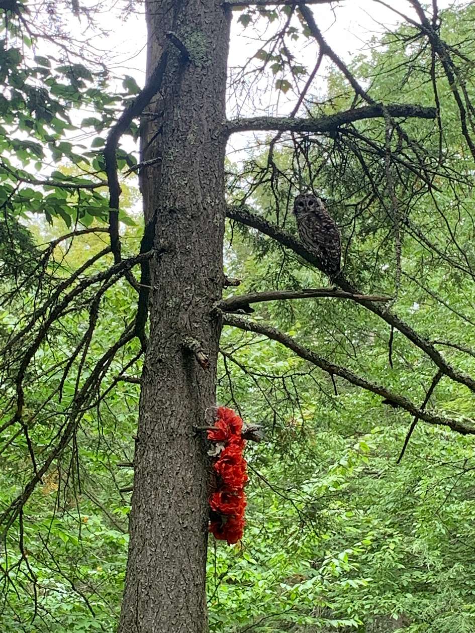 4 Acres of Land for Sale in Liberty, New York