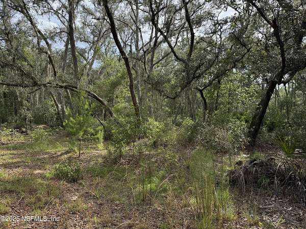 0.22 Acres of Land for Sale in Interlachen, Florida