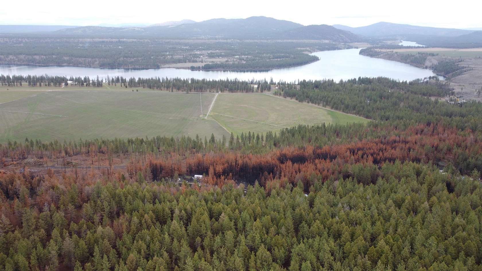 10.6 Acres of Recreational Land for Sale in Ford, Washington