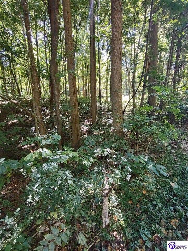 0.64 Acres of Residential Land for Sale in Scottsville, Kentucky