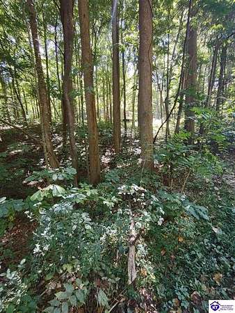 0.64 Acres of Residential Land for Sale in Scottsville, Kentucky