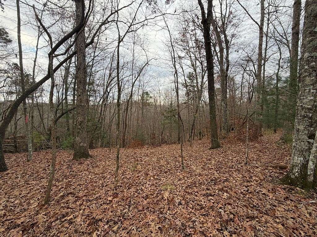 1.7 Acres of Land for Sale in Ellijay, Georgia