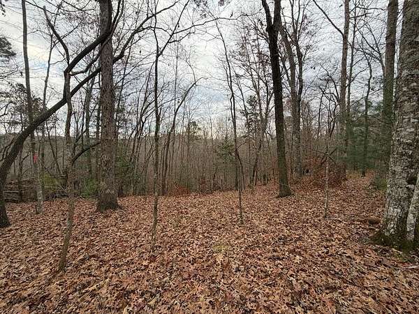 1.7 Acres of Land for Sale in Ellijay, Georgia