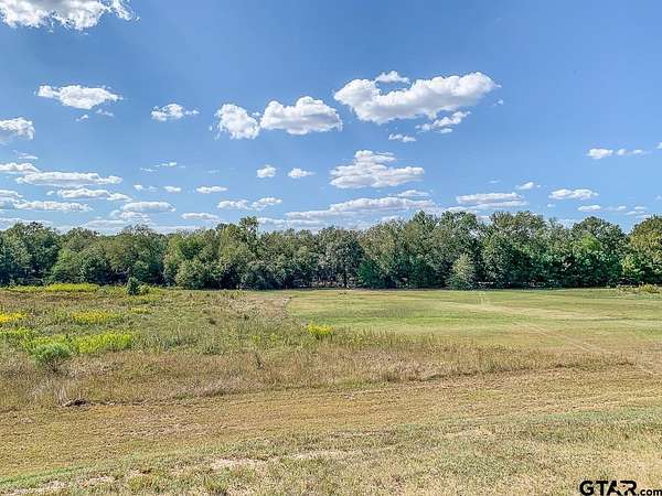 55 Acres of Land for Sale in Mount Vernon, Texas