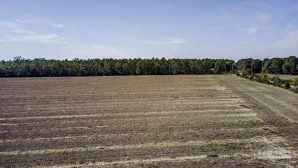 8 Acres of Land for Sale in Pace, Florida