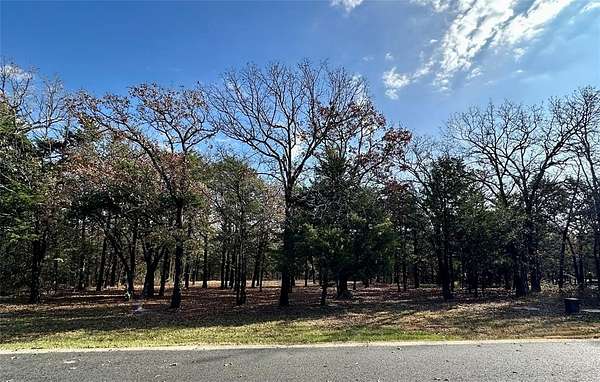 0.44 Acres of Residential Land for Sale in Gordonville, Texas