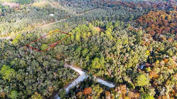 1.16 Acres of Residential Land for Sale in Webster, Florida