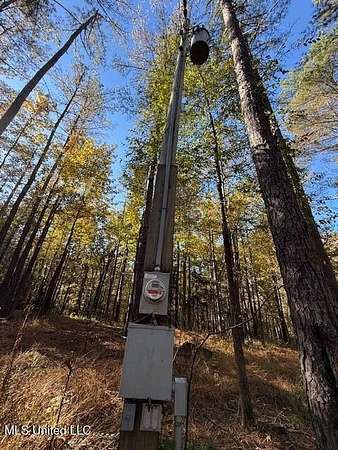 100 Acres of Recreational Land for Sale in Ashland, Mississippi