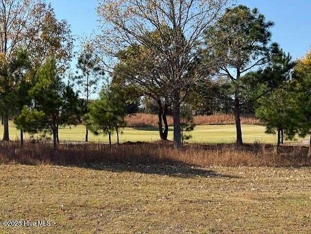 0.59 Acres of Residential Land for Sale in Wallace, North Carolina