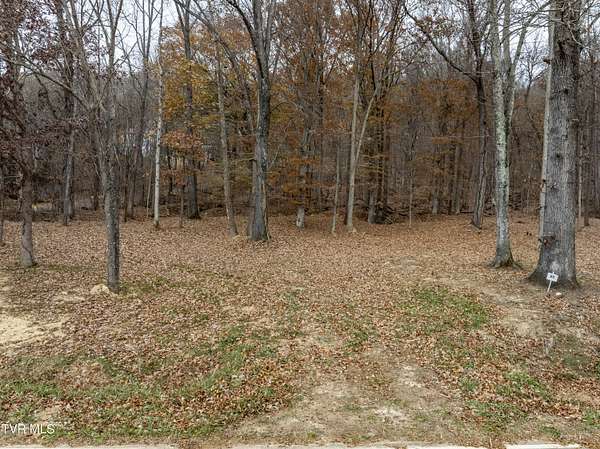 4 Acres of Residential Land for Sale in Blountville, Tennessee