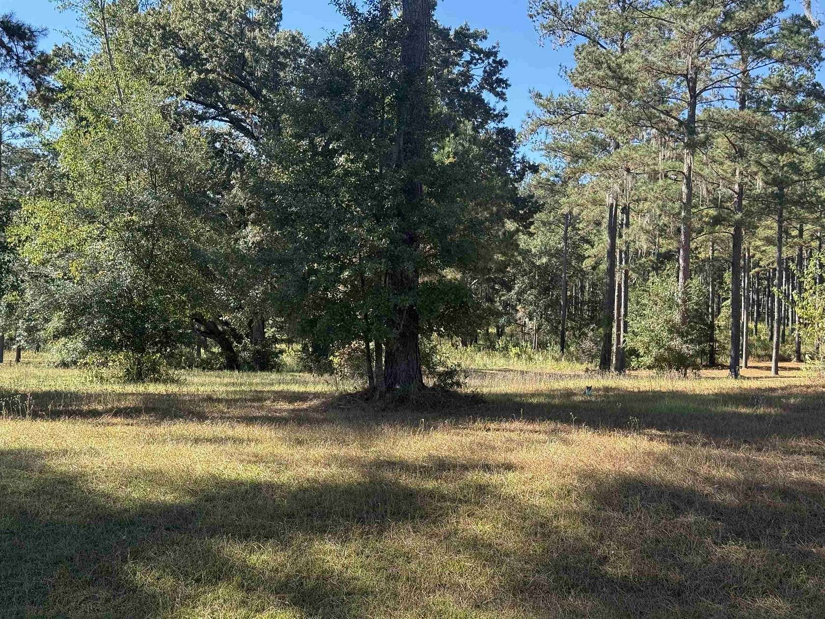 1.22 Acres of Land for Sale in Tallahassee, Florida