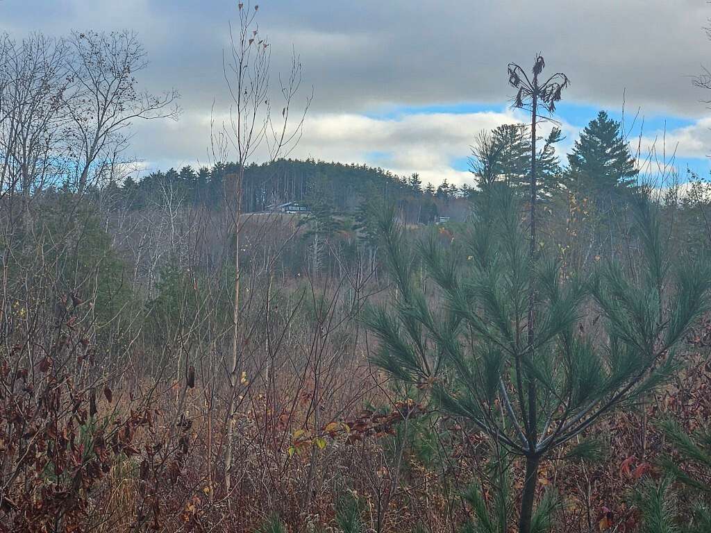 6 Acres of Residential Land for Sale in Sweden Town, Maine